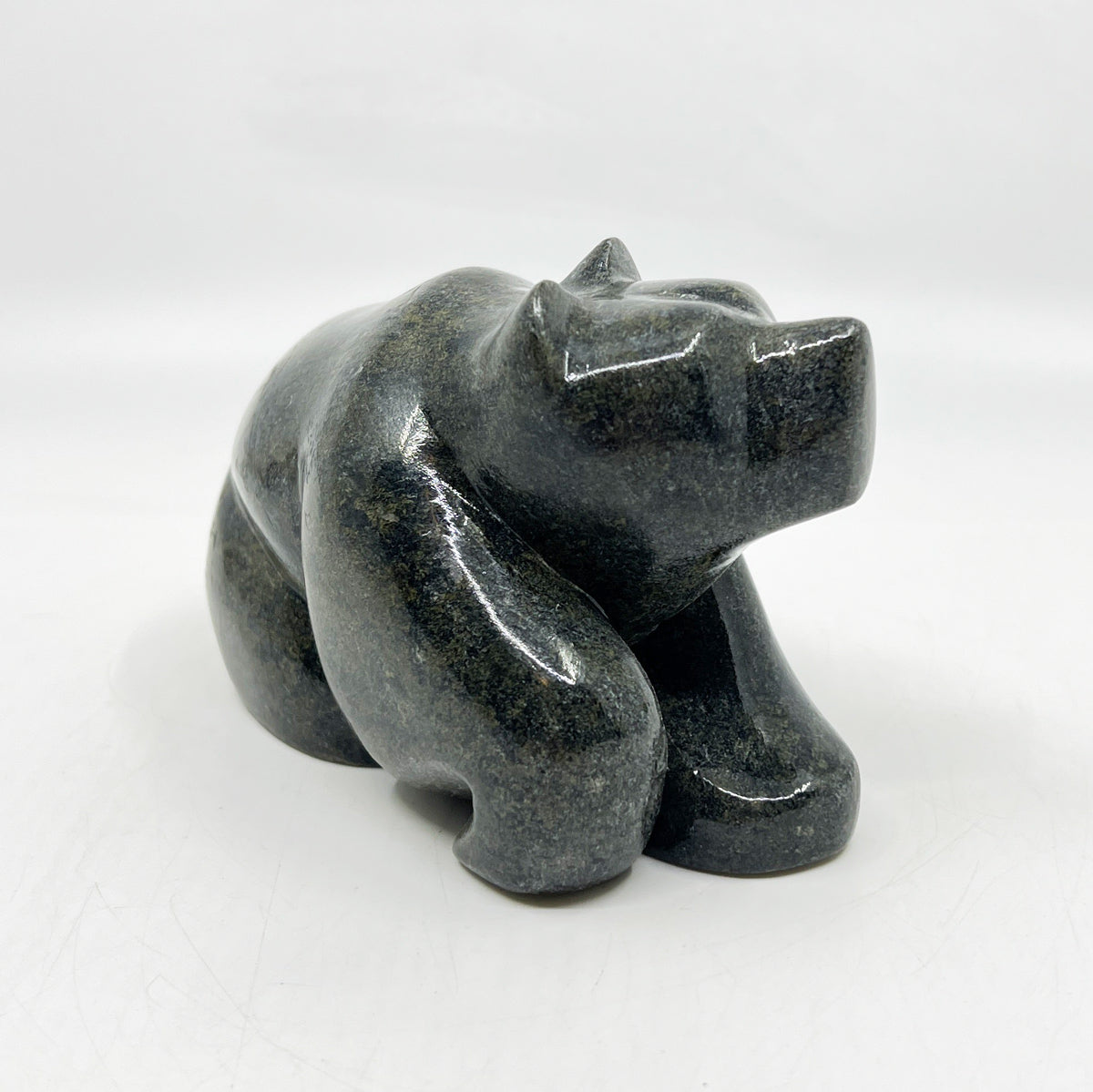 Resting Bear