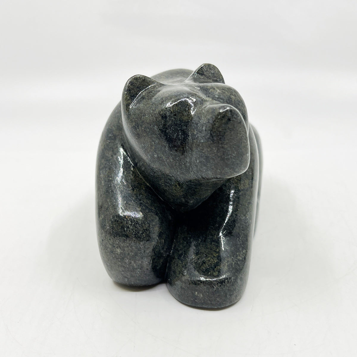 Resting Bear