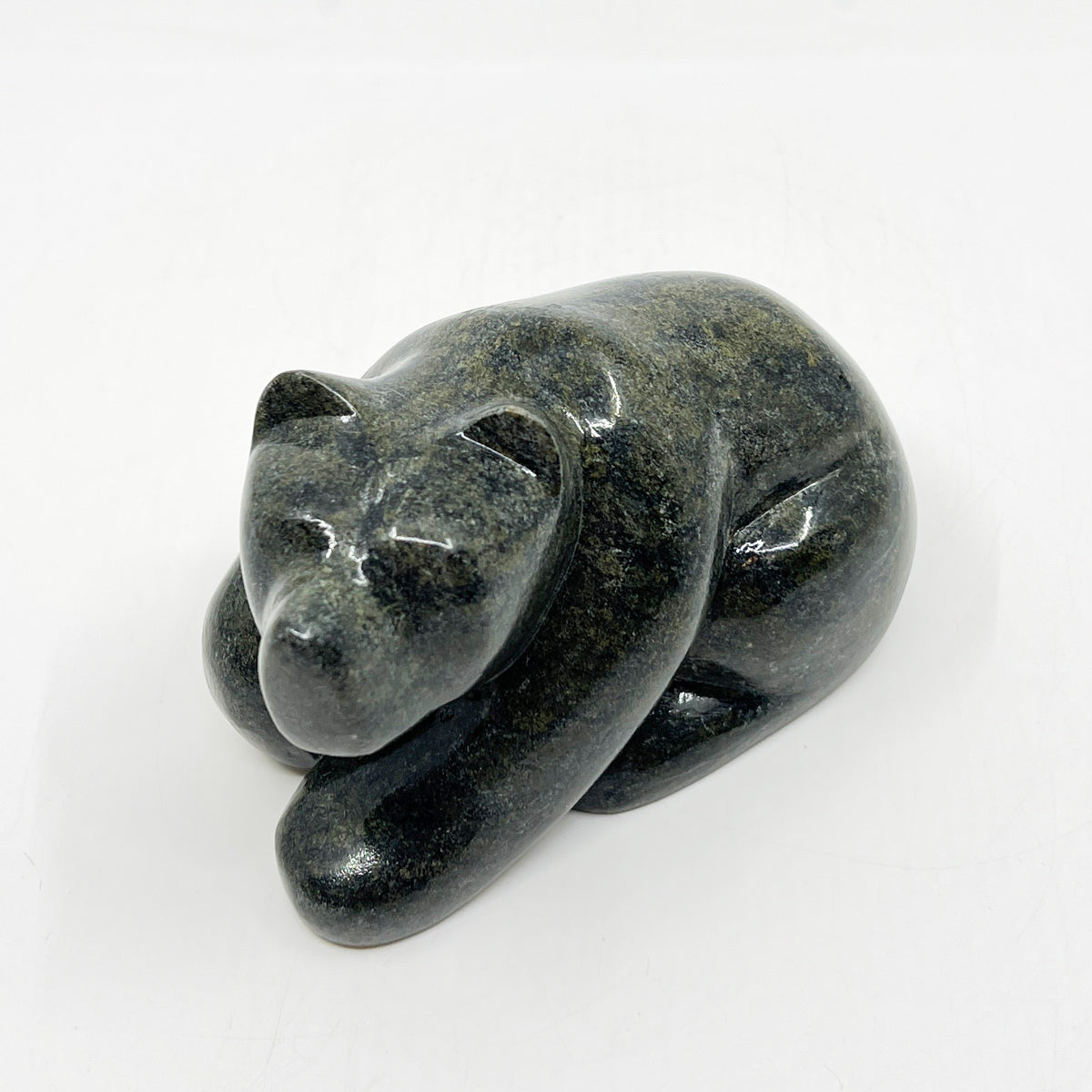 Resting Bear