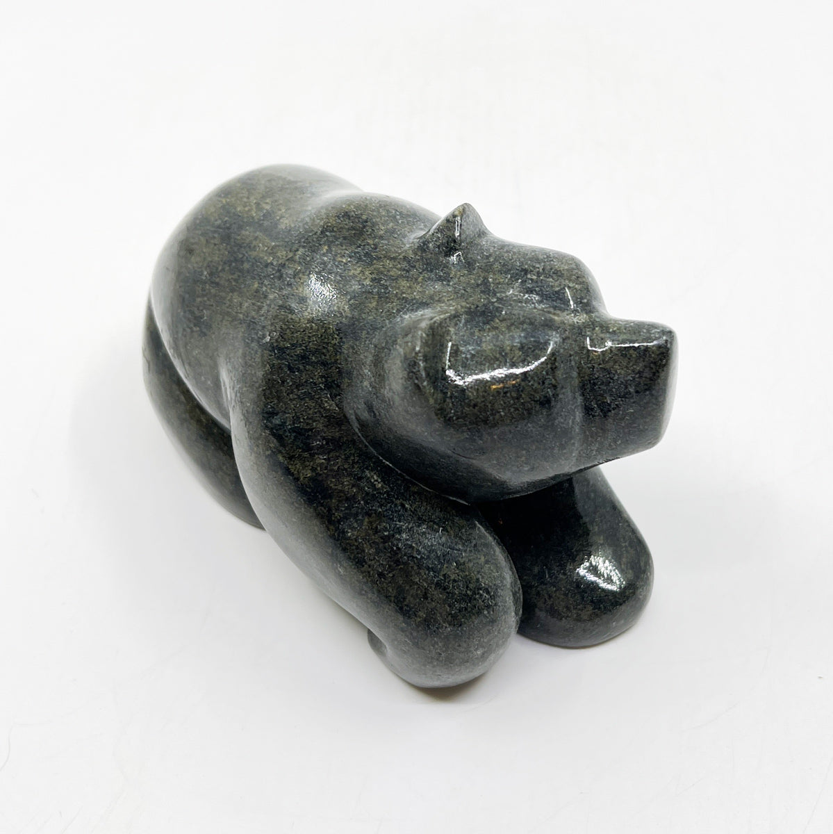 Resting Bear