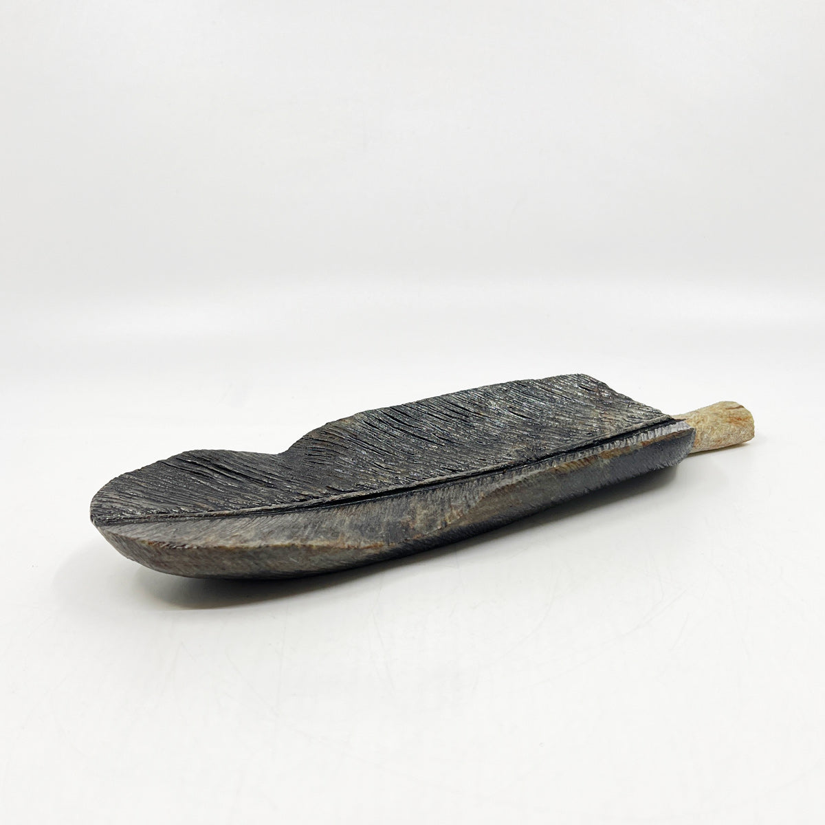 Eagle Feather