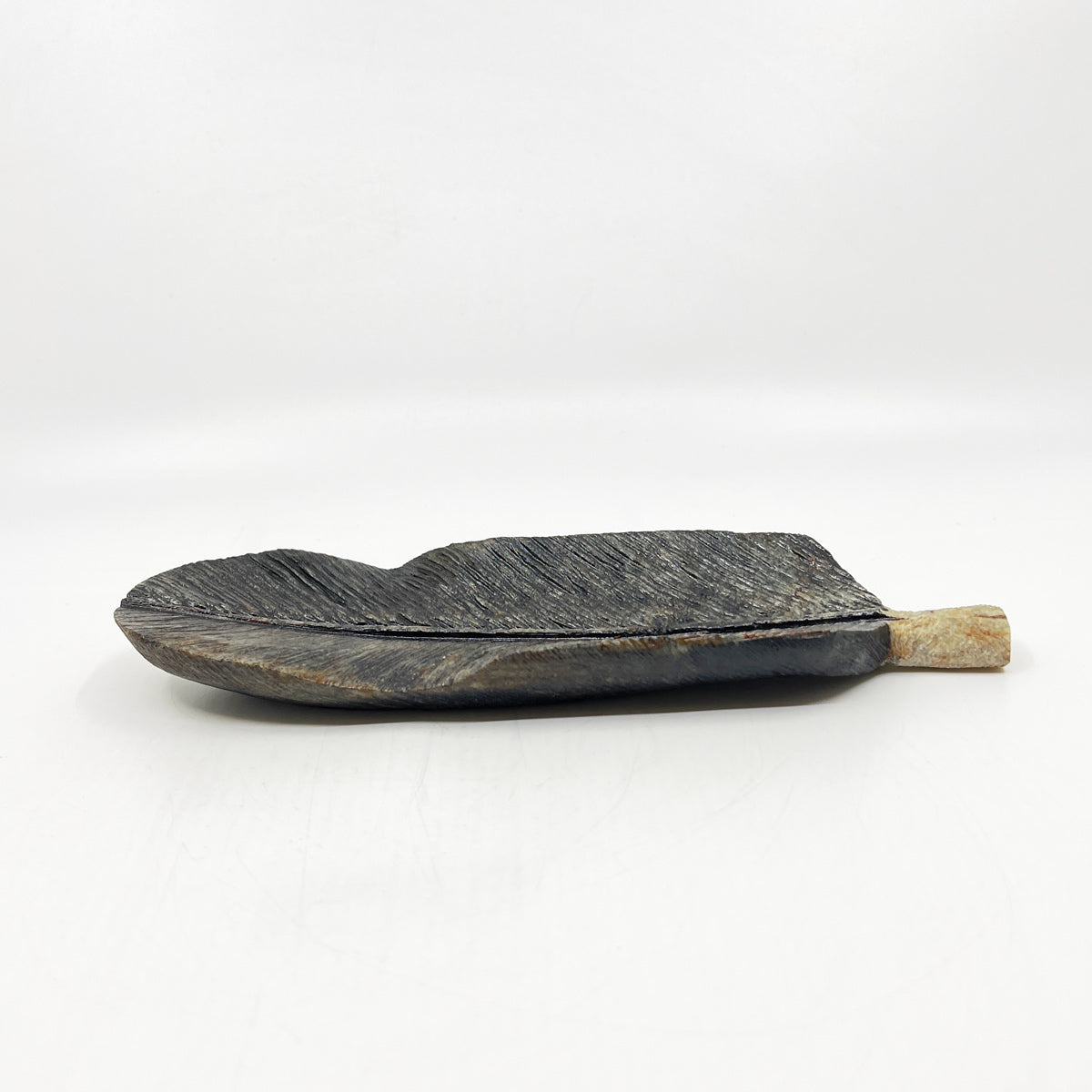 Eagle Feather