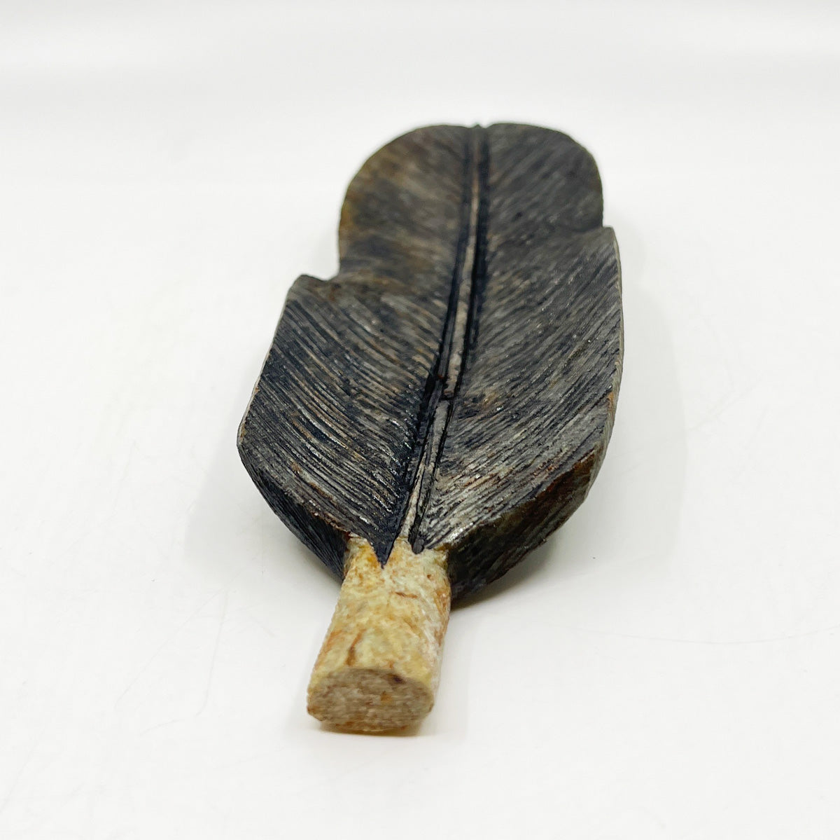 Eagle Feather