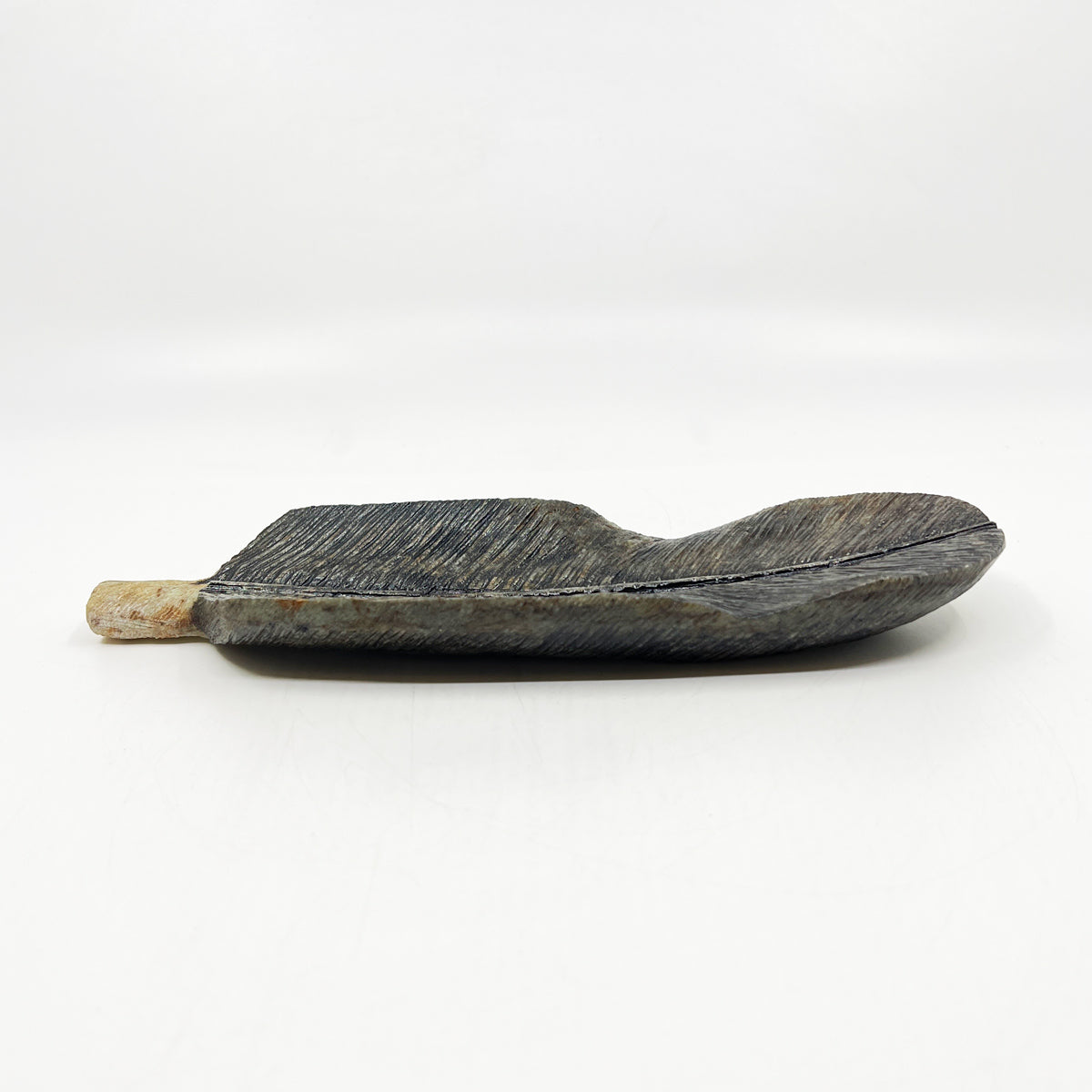 Eagle Feather