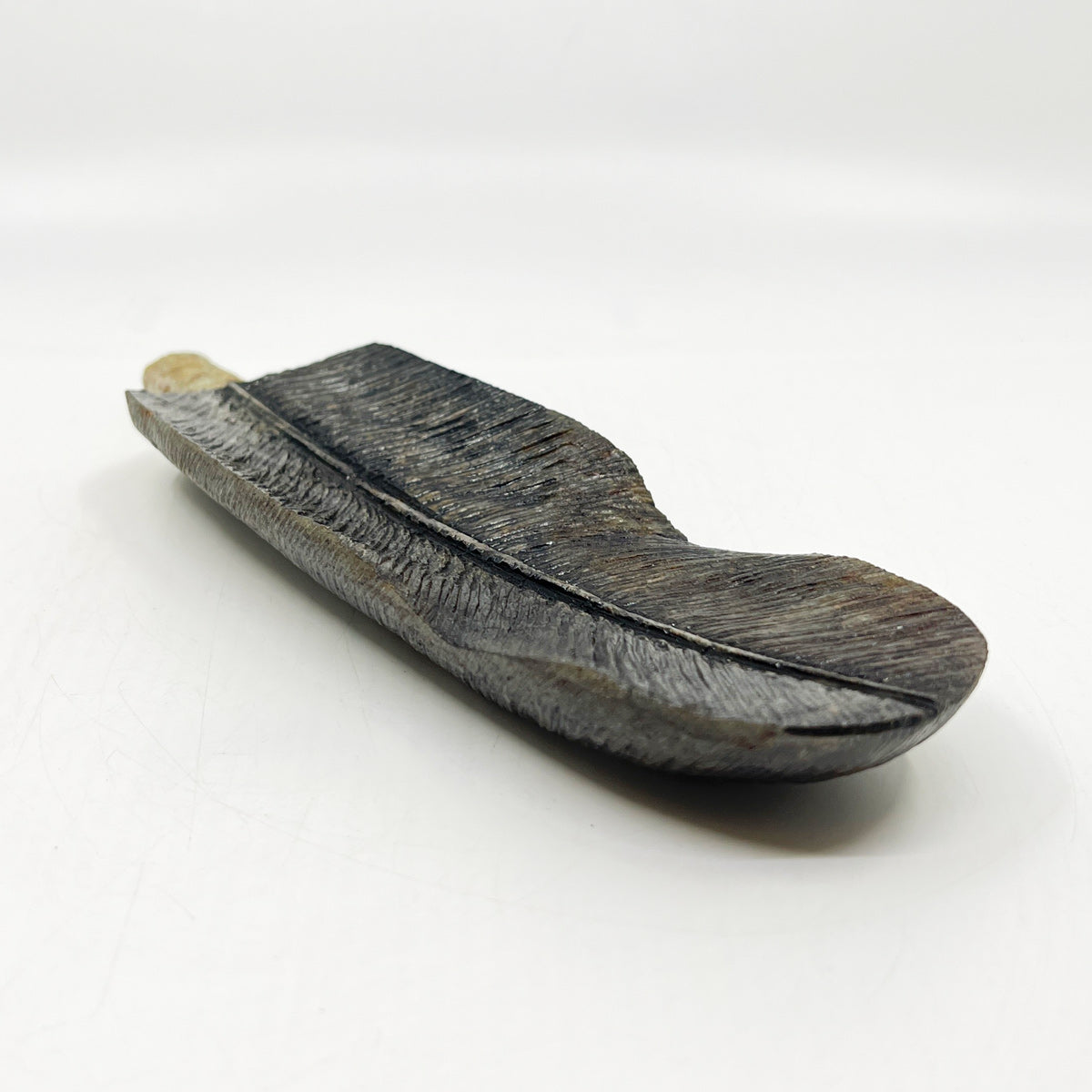 Eagle Feather