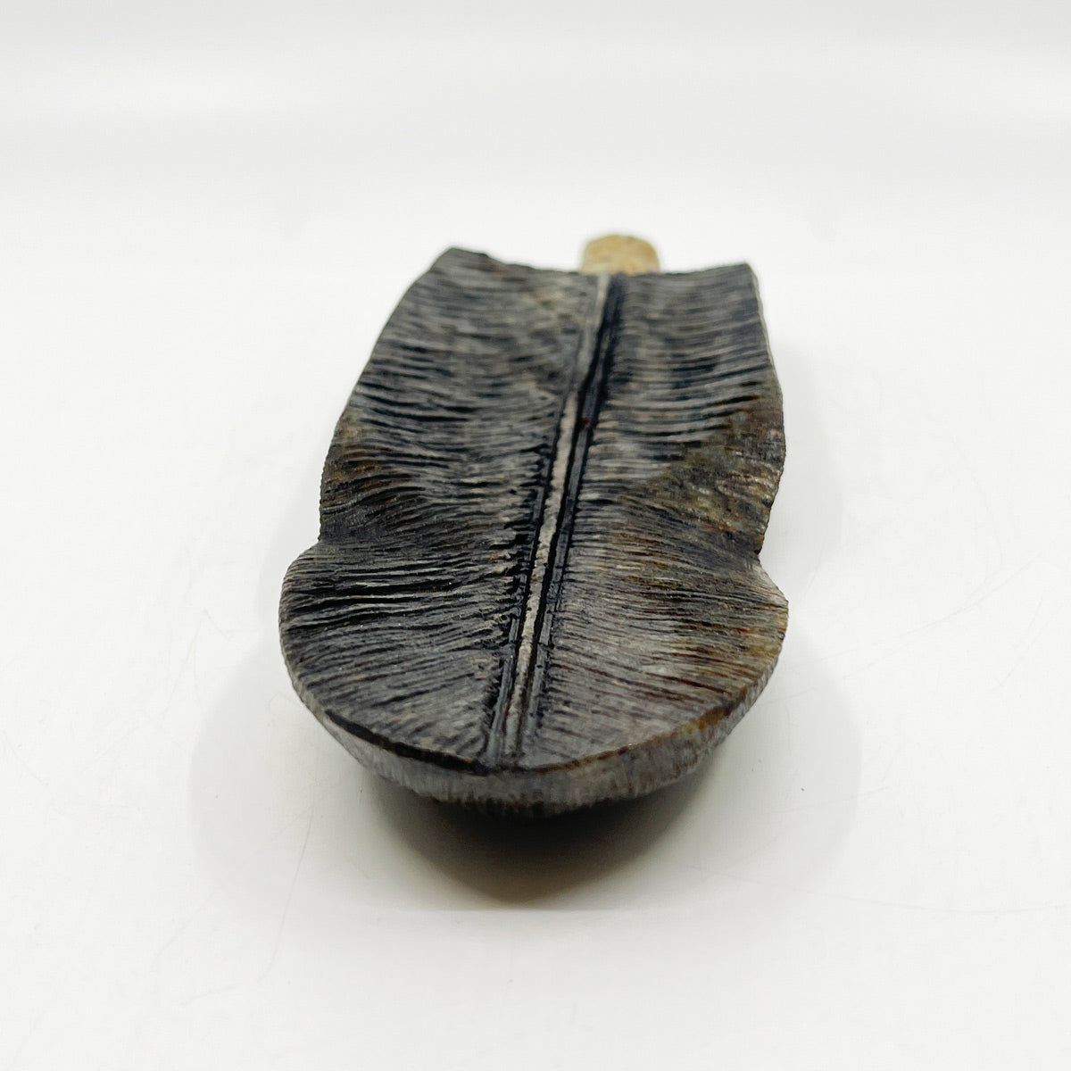 Eagle Feather