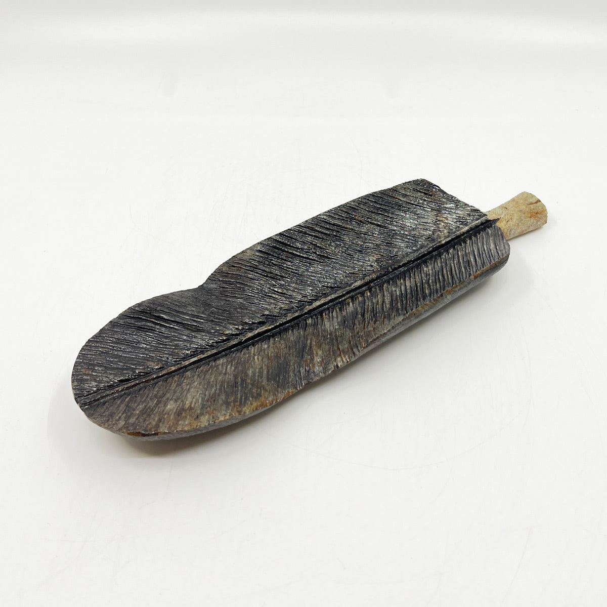 Eagle Feather
