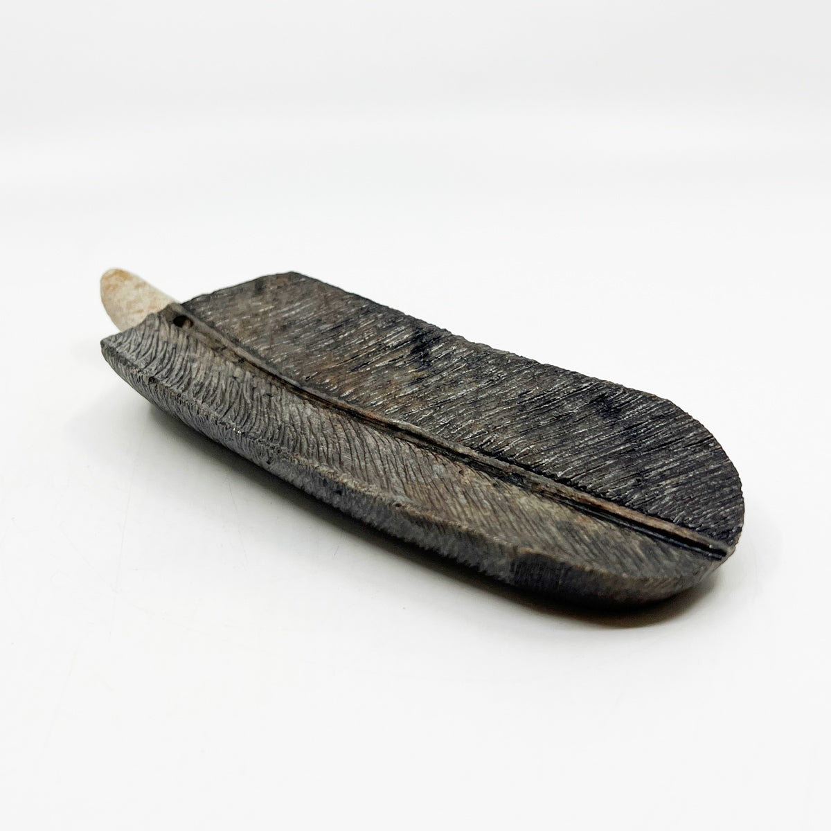 Eagle Feather