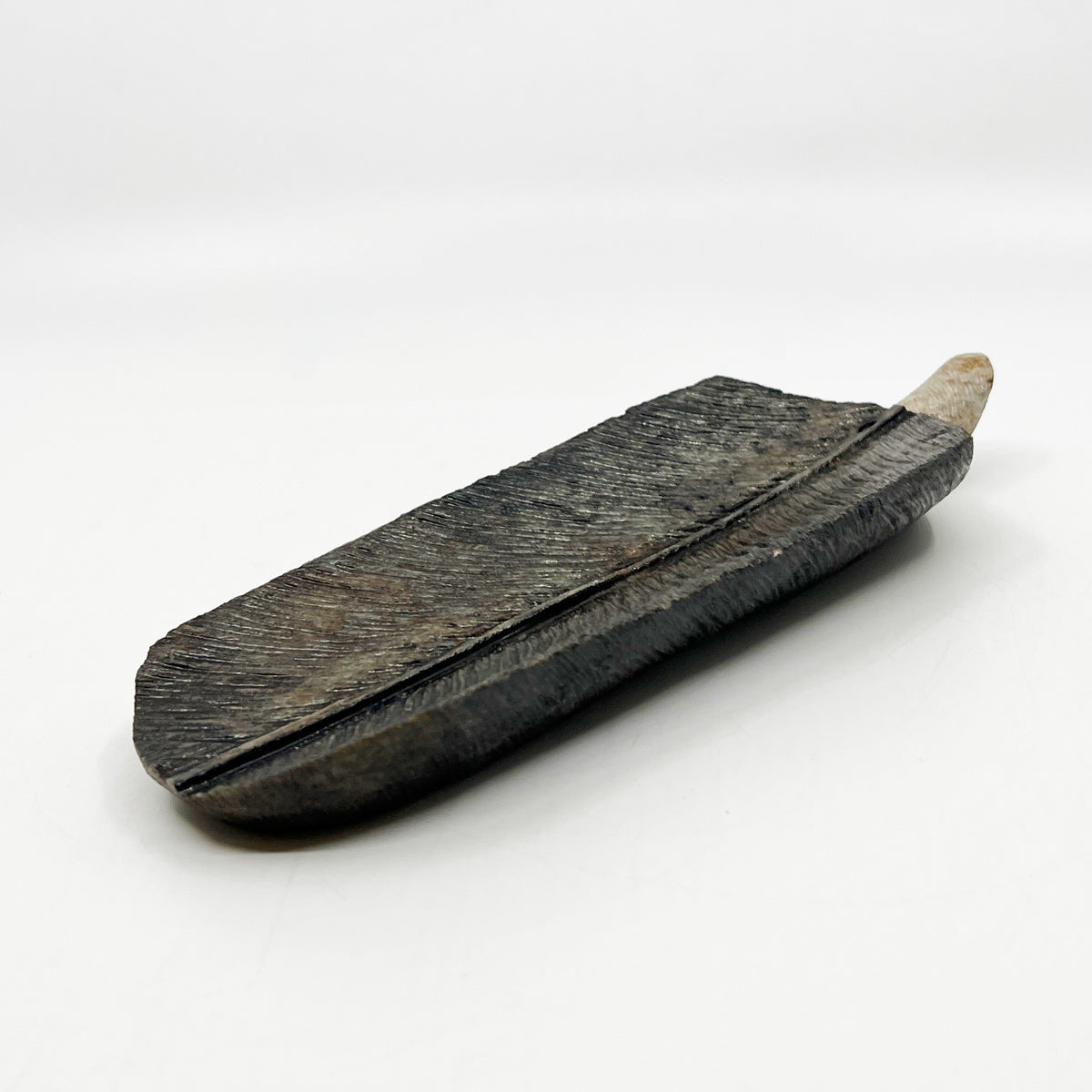 Eagle Feather