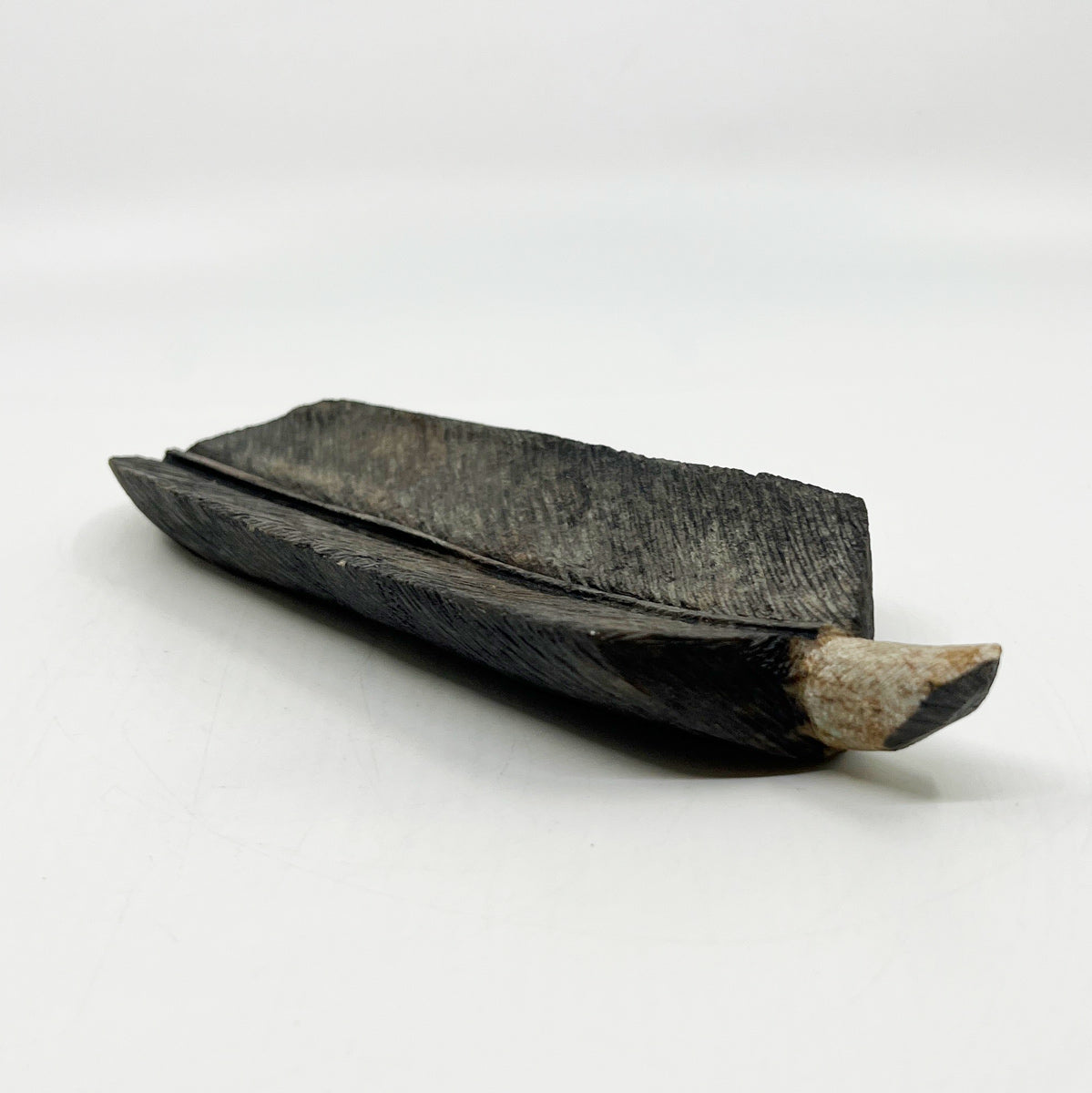 Eagle Feather
