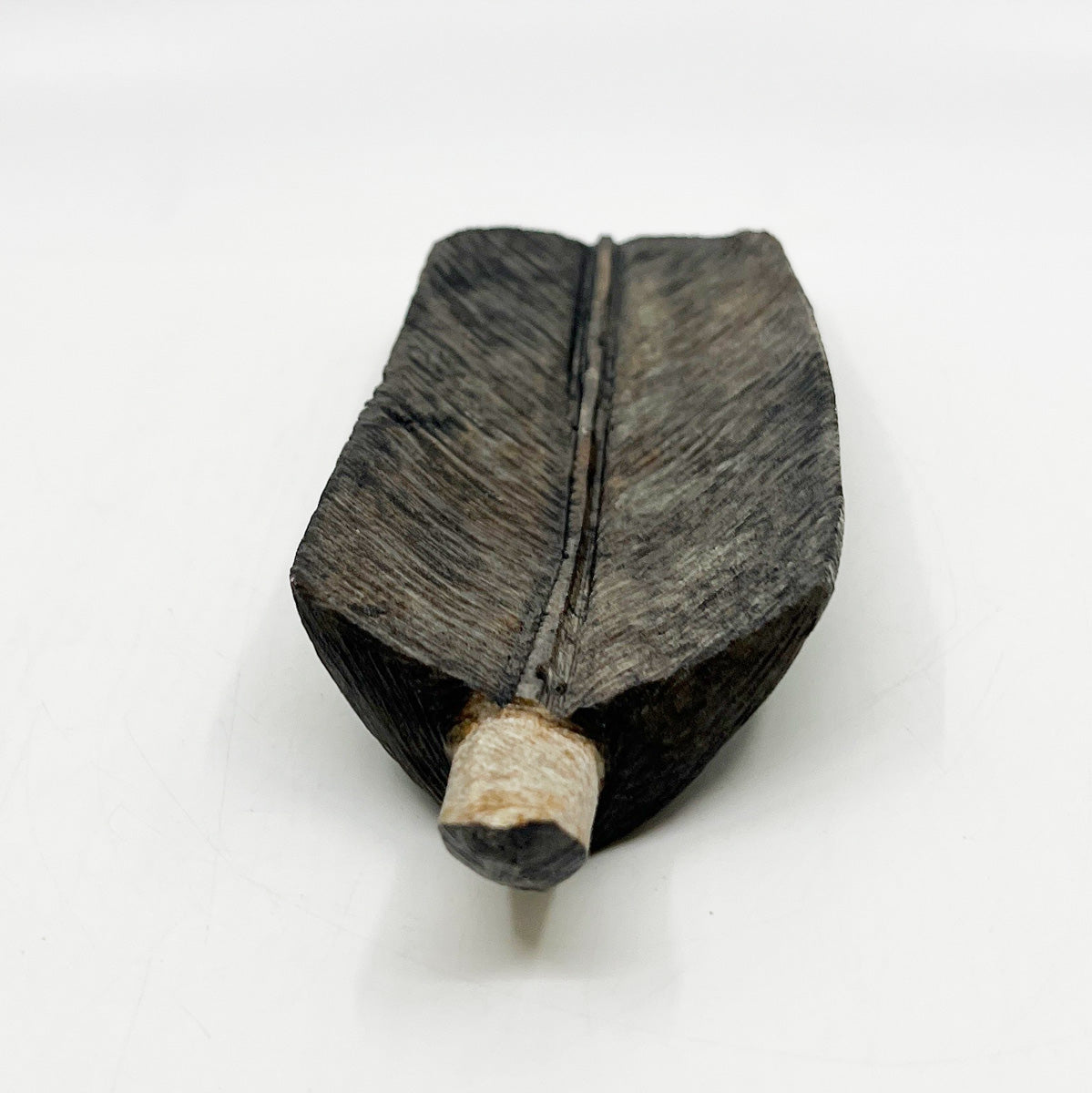 Eagle Feather