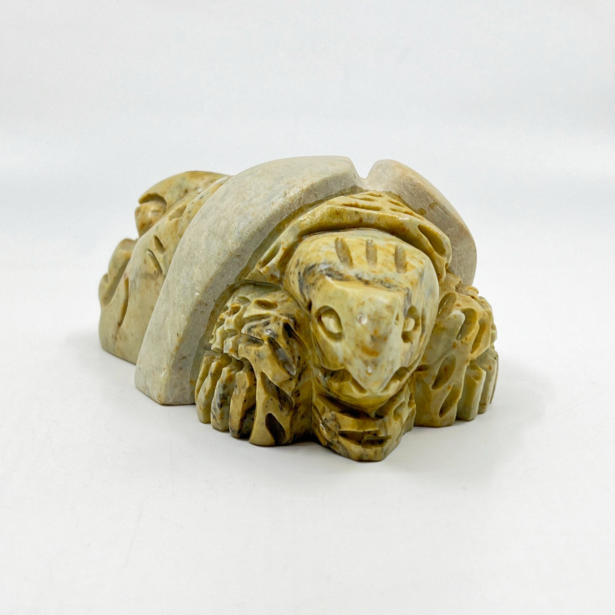 Turtle Warrior
