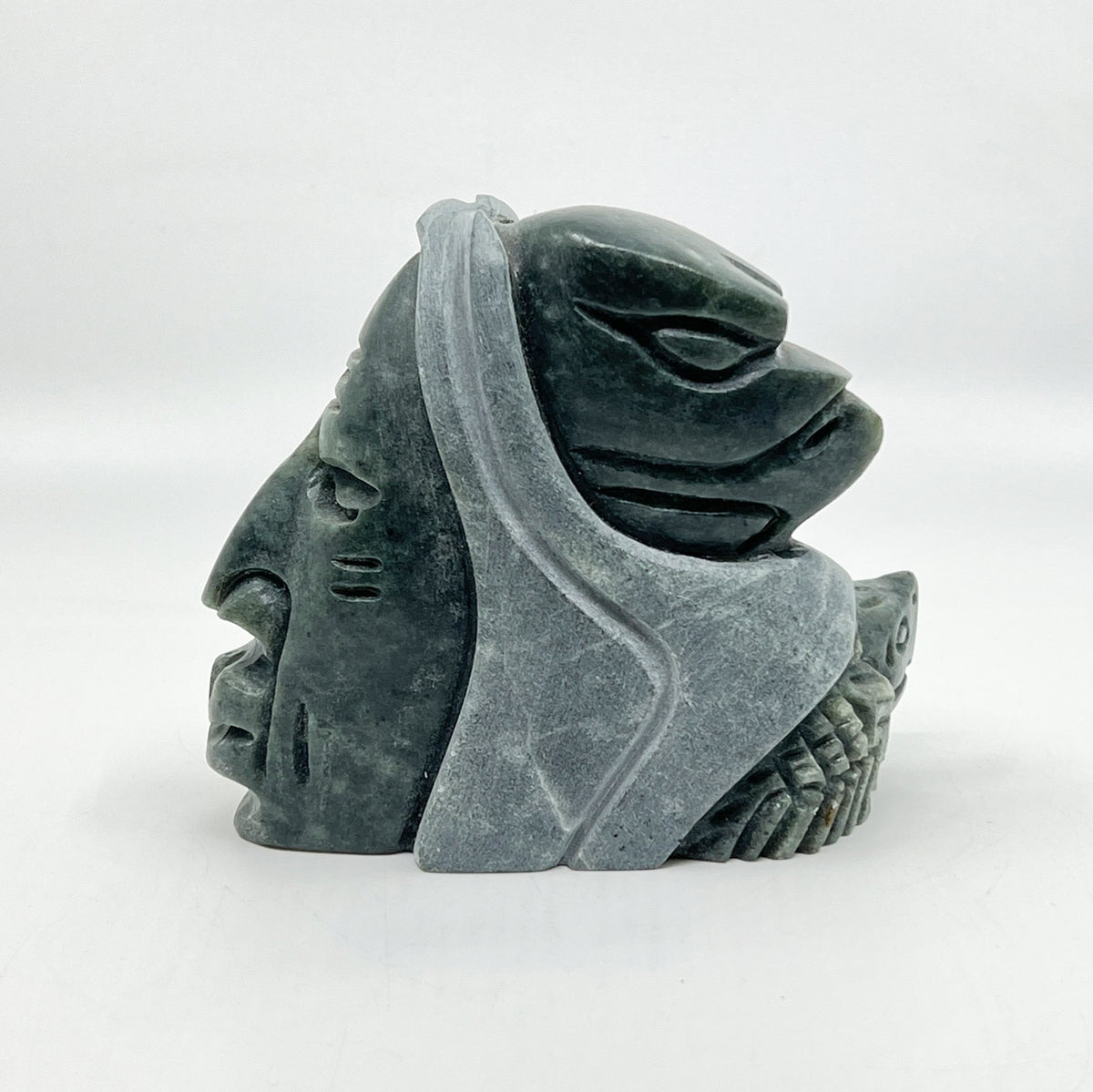 Turtle and Eagle Warrior