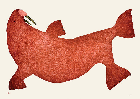 Red Walrus