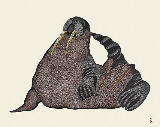 Scratching Walrus