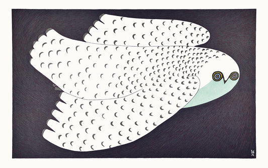 Midnight Owl