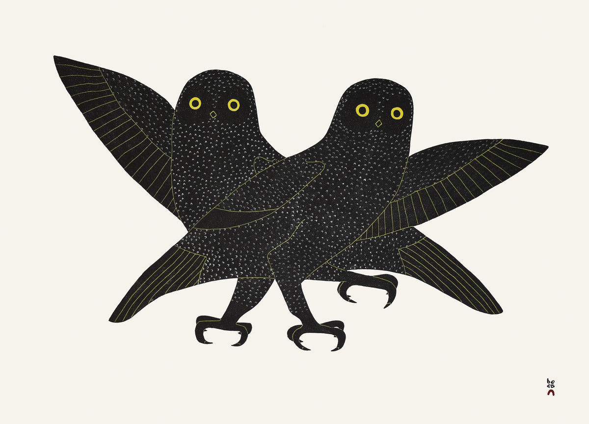 Ijingi Qaumajuuk (Bright Eyes)