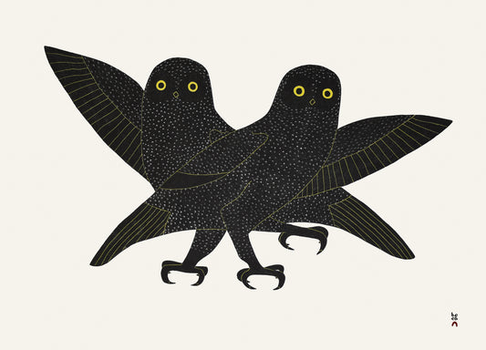 Ijingi Qaumajuuk (Bright Eyes)