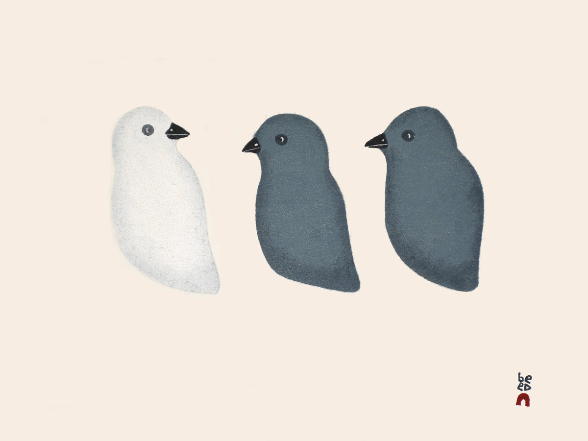 Aqiggiit (Ptarmigans)