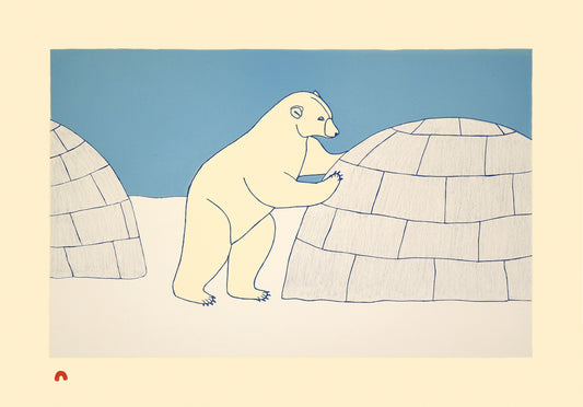 Nosy Bear