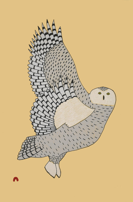 Taking Flight