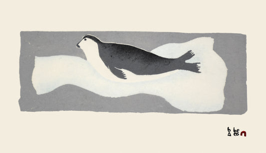 Tirillu (Young Bearded Seal)