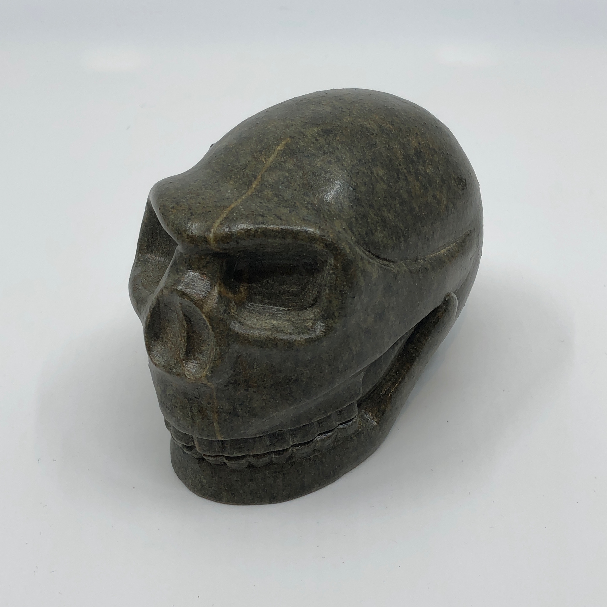 Skull - Native Art Gallery